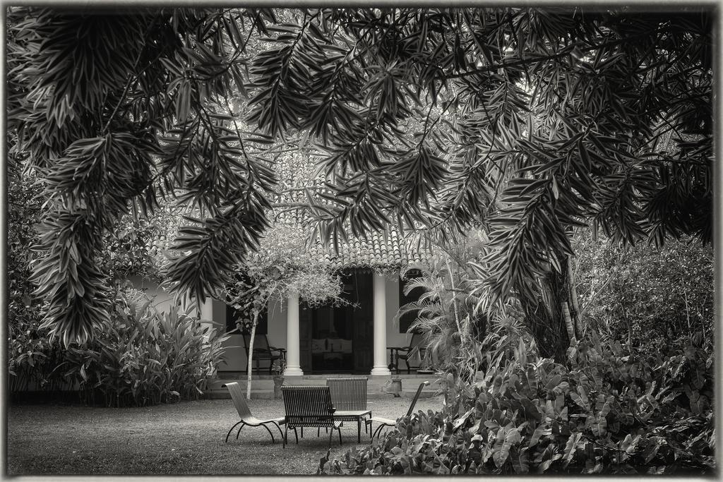 בנטוטה Nisala Arana Boutique Hotel מראה חיצוני תמונה